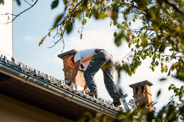 Best Roof Gutter Cleaning  in Baldwin, FL